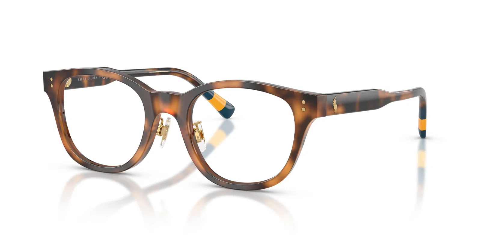 Polo 2303F Eyeglasses - view 6